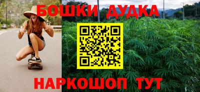 стаф Будённовск