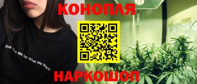 стаф Будённовск