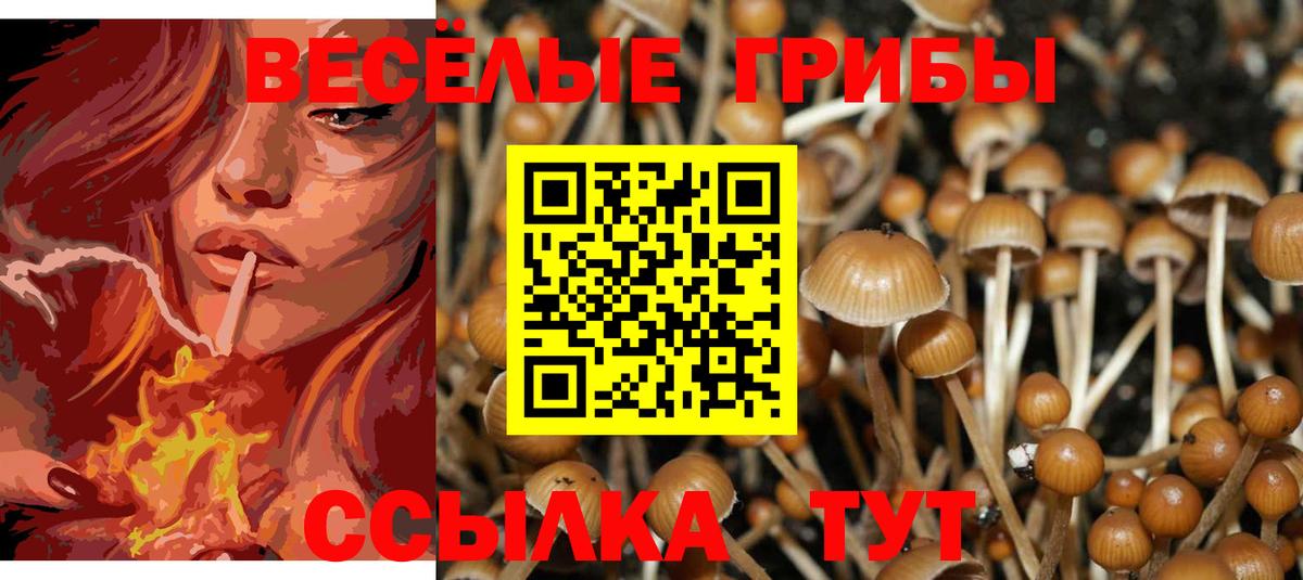 Галлюциногенные грибы мицелий Сертолово